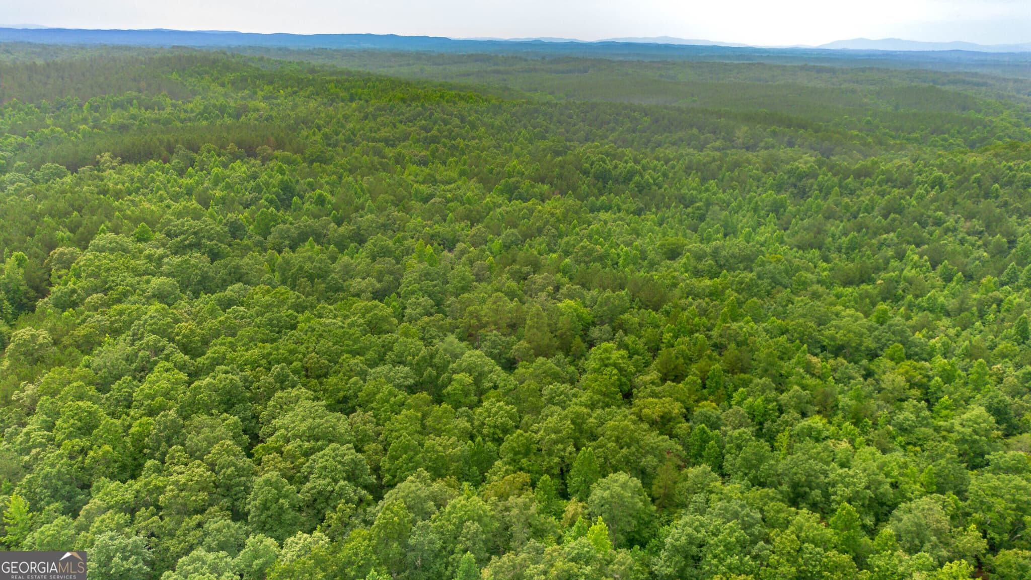 residential lot for sale at 0 Vinyard LOT 1, 2, 4, 5, 6, Fruithurst, AL 36262 — photo 2