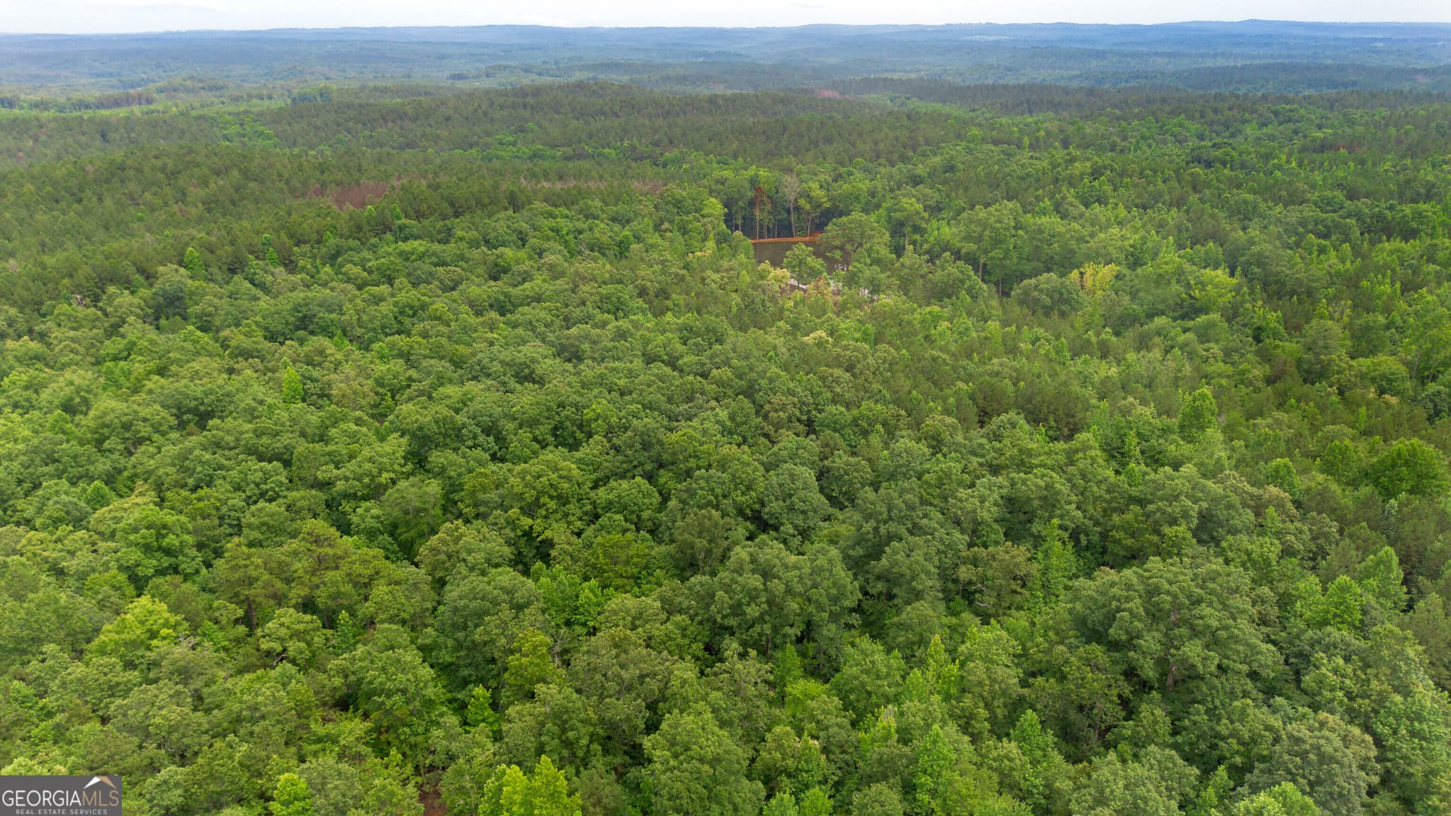 residential lot for sale at 0 Vinyard LOT 1, 2, 4, 5, 6, Fruithurst, AL 36262 — photo 3