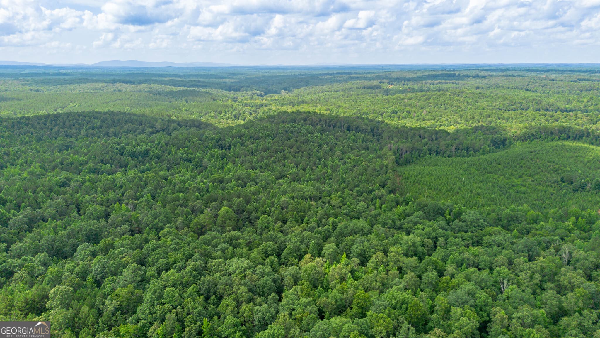 residential lot for sale at 0 Vinyard LOT 1, 2, 4, 5, 6, Fruithurst, AL 36262 — photo 5