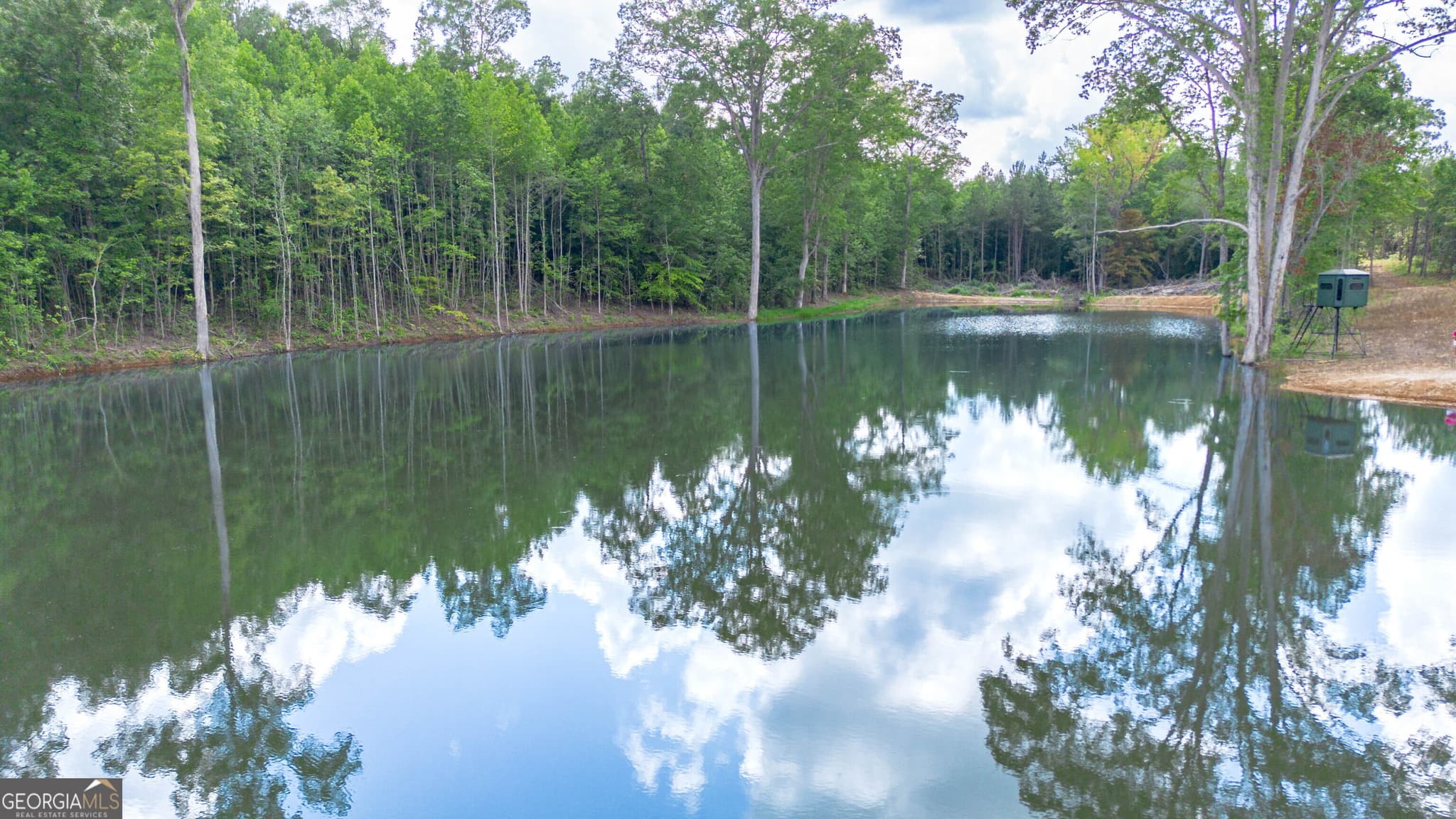 residential lot for sale at 0 Vinyard LOT 1, 2, 4, 5, 6, Fruithurst, AL 36262 — photo 9