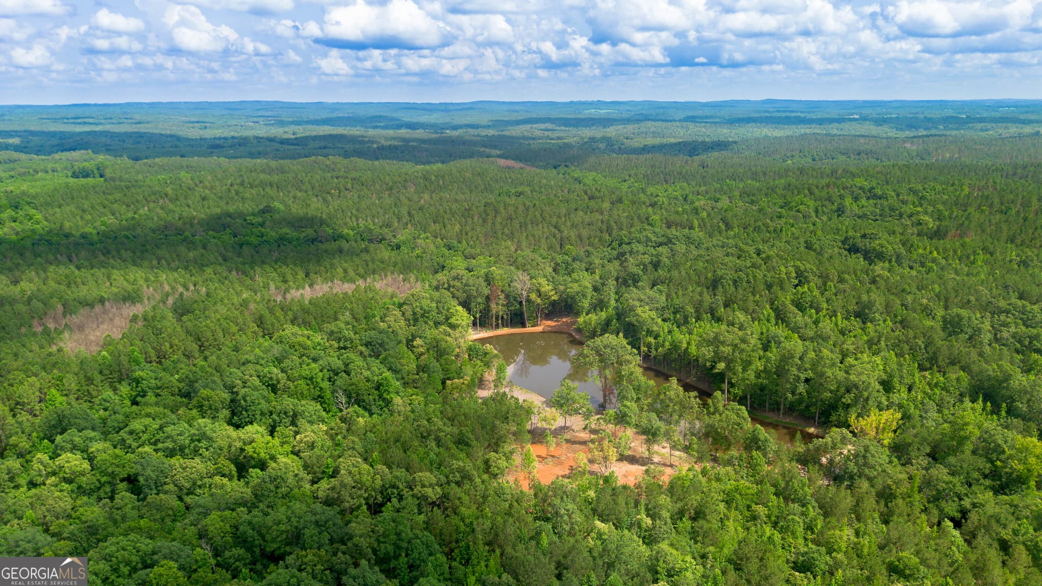 residential lot for sale at 0 Vinyard LOT 1, 2, 4, 5, 6, Fruithurst, AL 36262 — photo 4