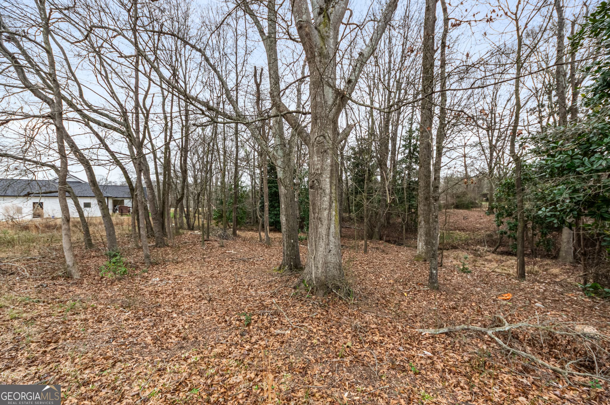 residential lot for sale at 49 Fairview Station, Hartwell, GA 30643 — photo 6