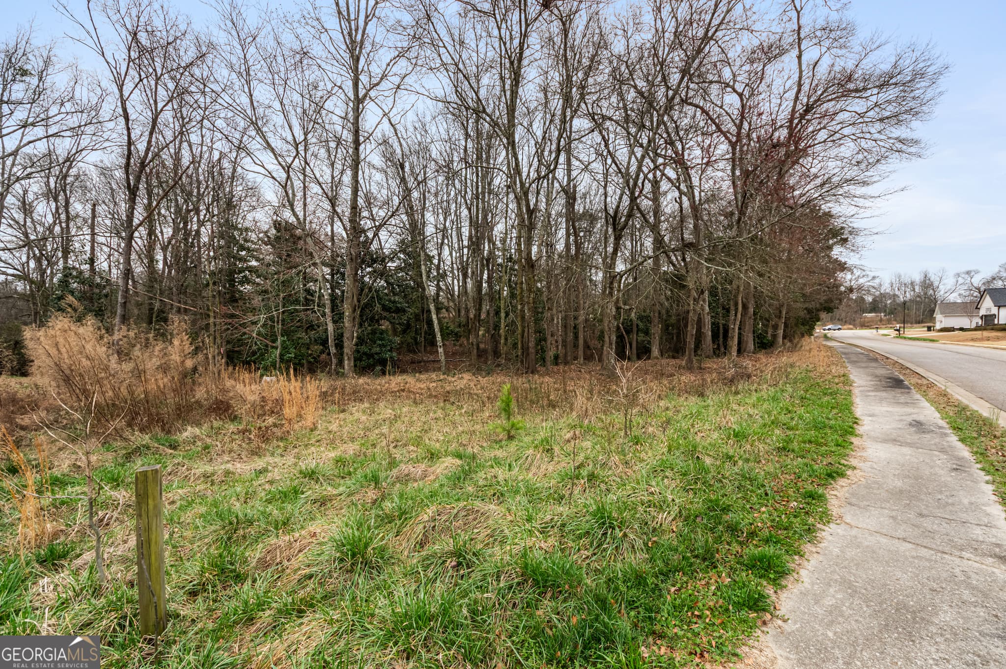 residential lot for sale at 49 Fairview Station, Hartwell, GA 30643 — photo 3