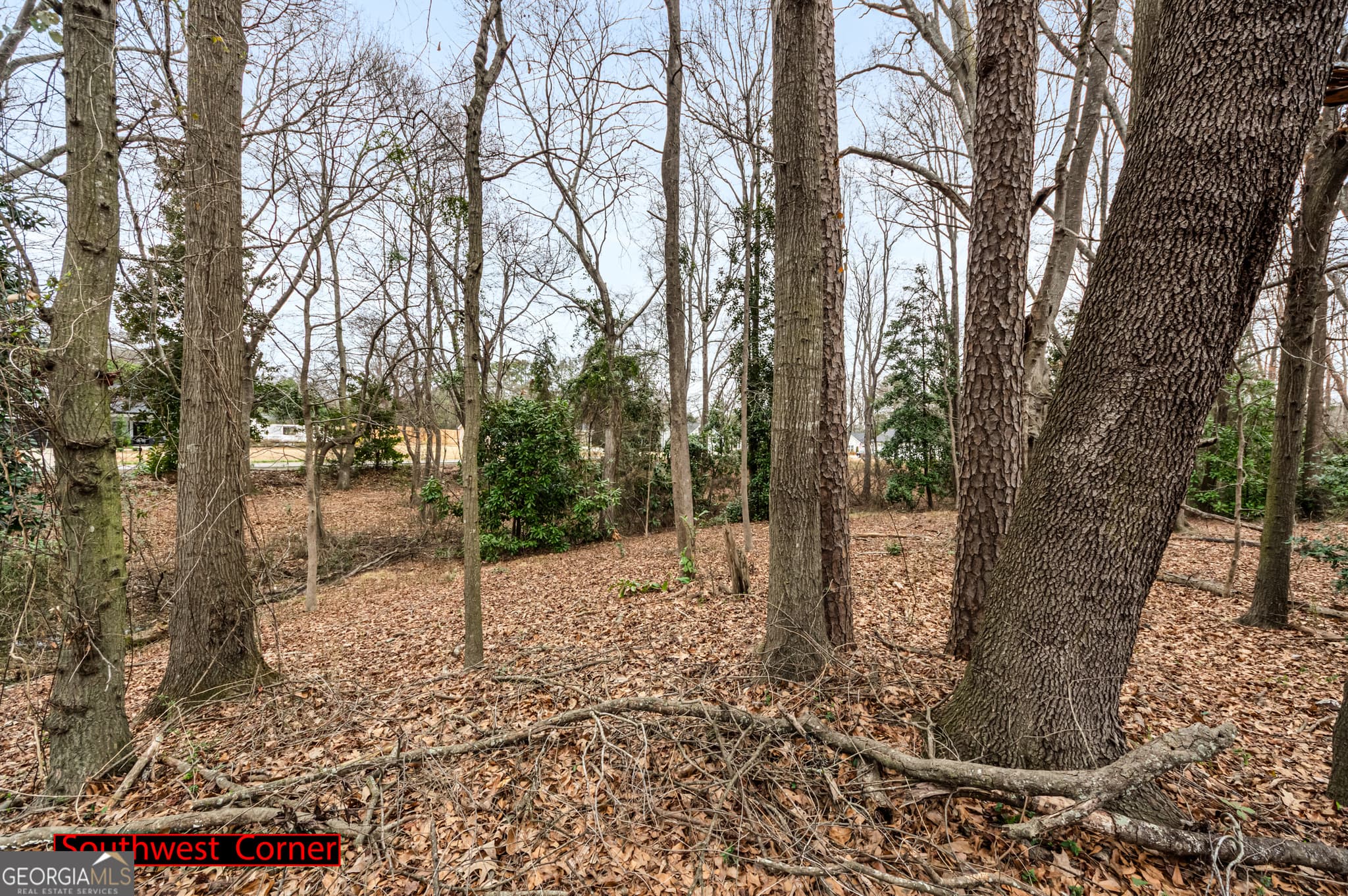 residential lot for sale at 49 Fairview Station, Hartwell, GA 30643 — photo 4