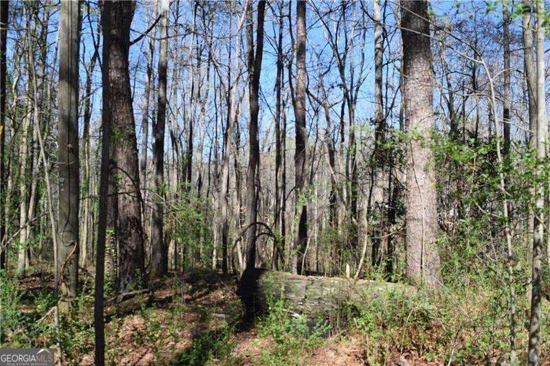 unimproved land for sale at 5320 Beth Drive, Austell, GA 30106 — photo 2