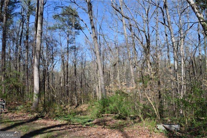unimproved land for sale at 5320 Beth Drive, Austell, GA 30106 — photo 6
