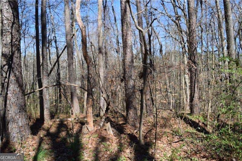 unimproved land for sale at 5320 Beth Drive, Austell, GA 30106 — photo 3