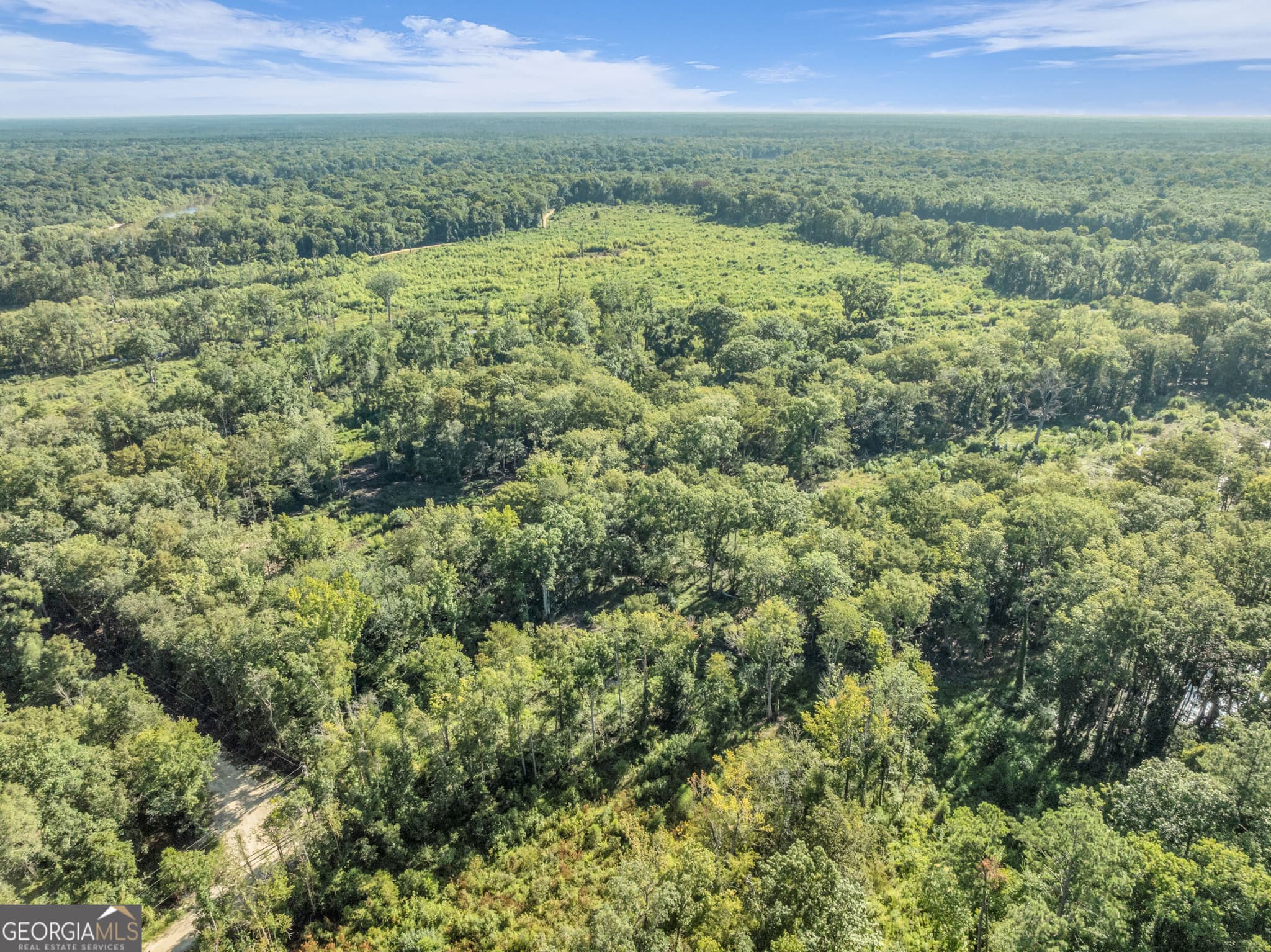 unimproved land for sale at 0 Brook Road, Jesup, GA 31545 — photo 2