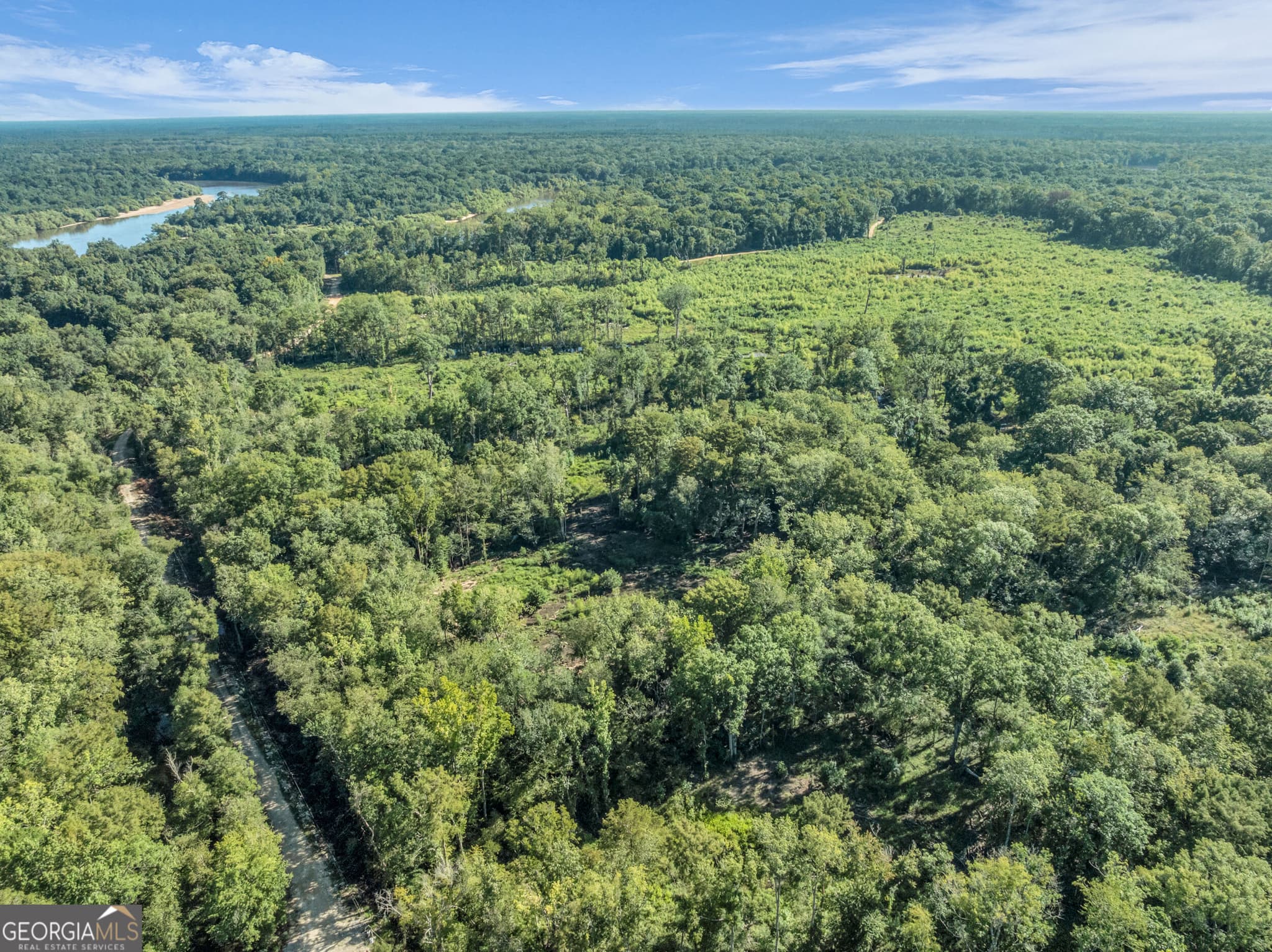 unimproved land for sale at 0 Brook Road, Jesup, GA 31545 — photo 6