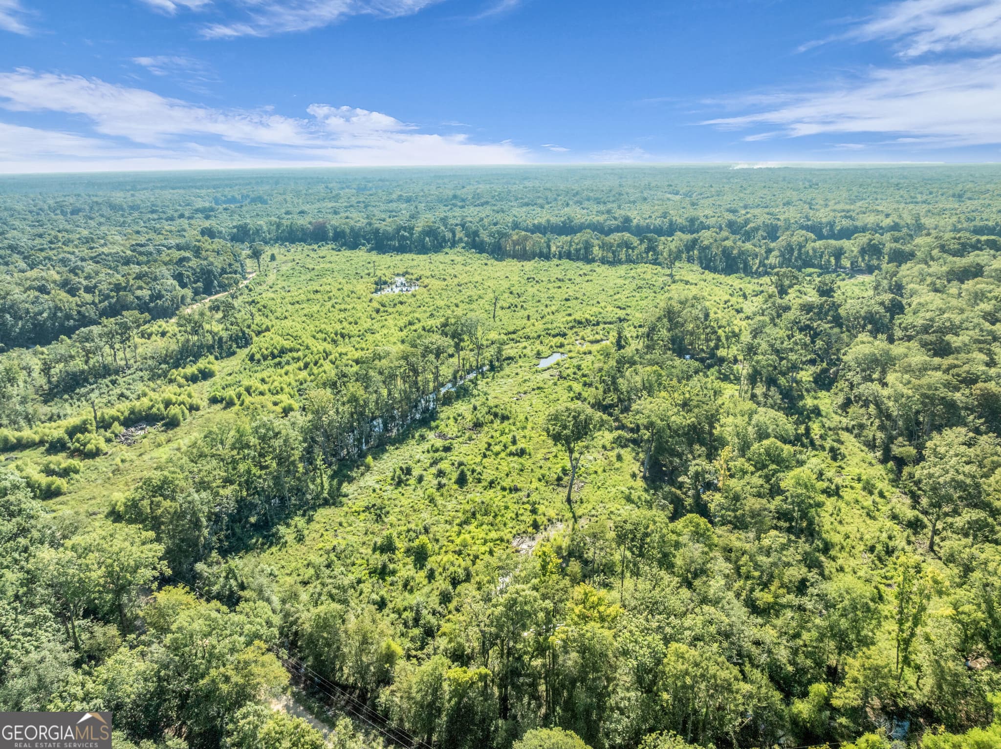 unimproved land for sale at 0 Brook Road, Jesup, GA 31545 — photo 7