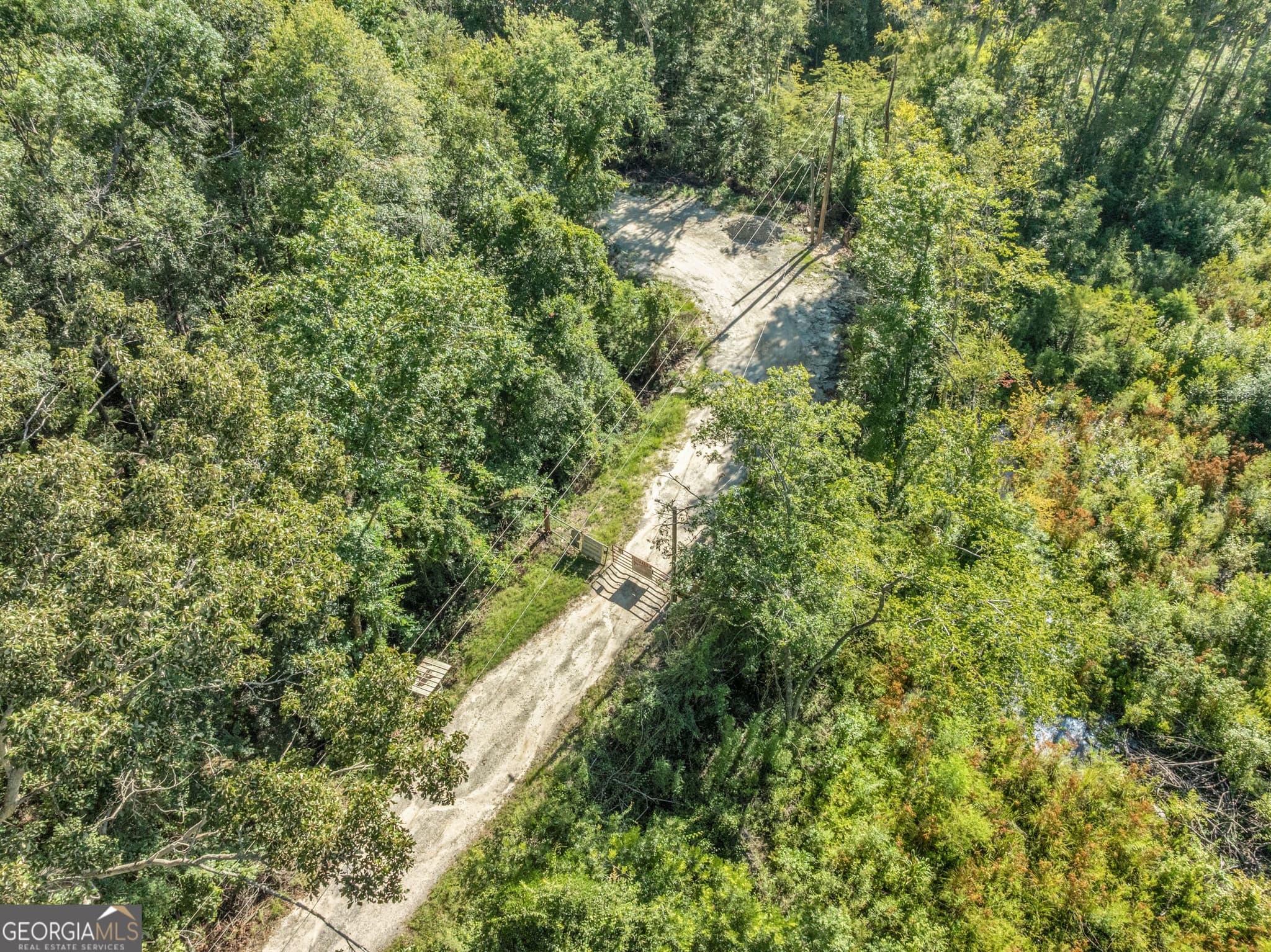 unimproved land for sale at 0 Brook Road, Jesup, GA 31545 — photo 5