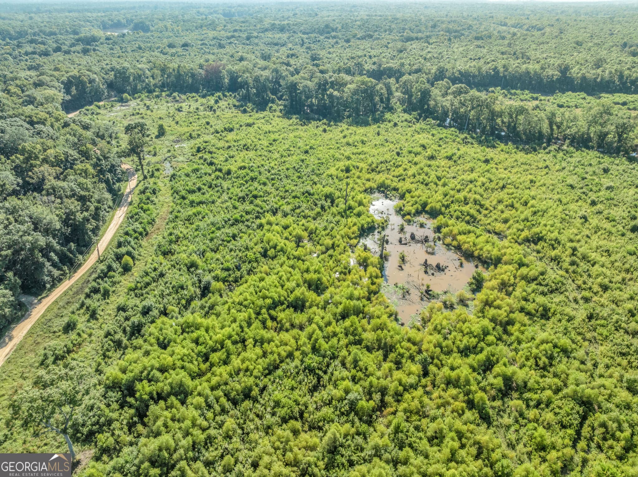 unimproved land for sale at 0 Brook Road, Jesup, GA 31545 — photo 9