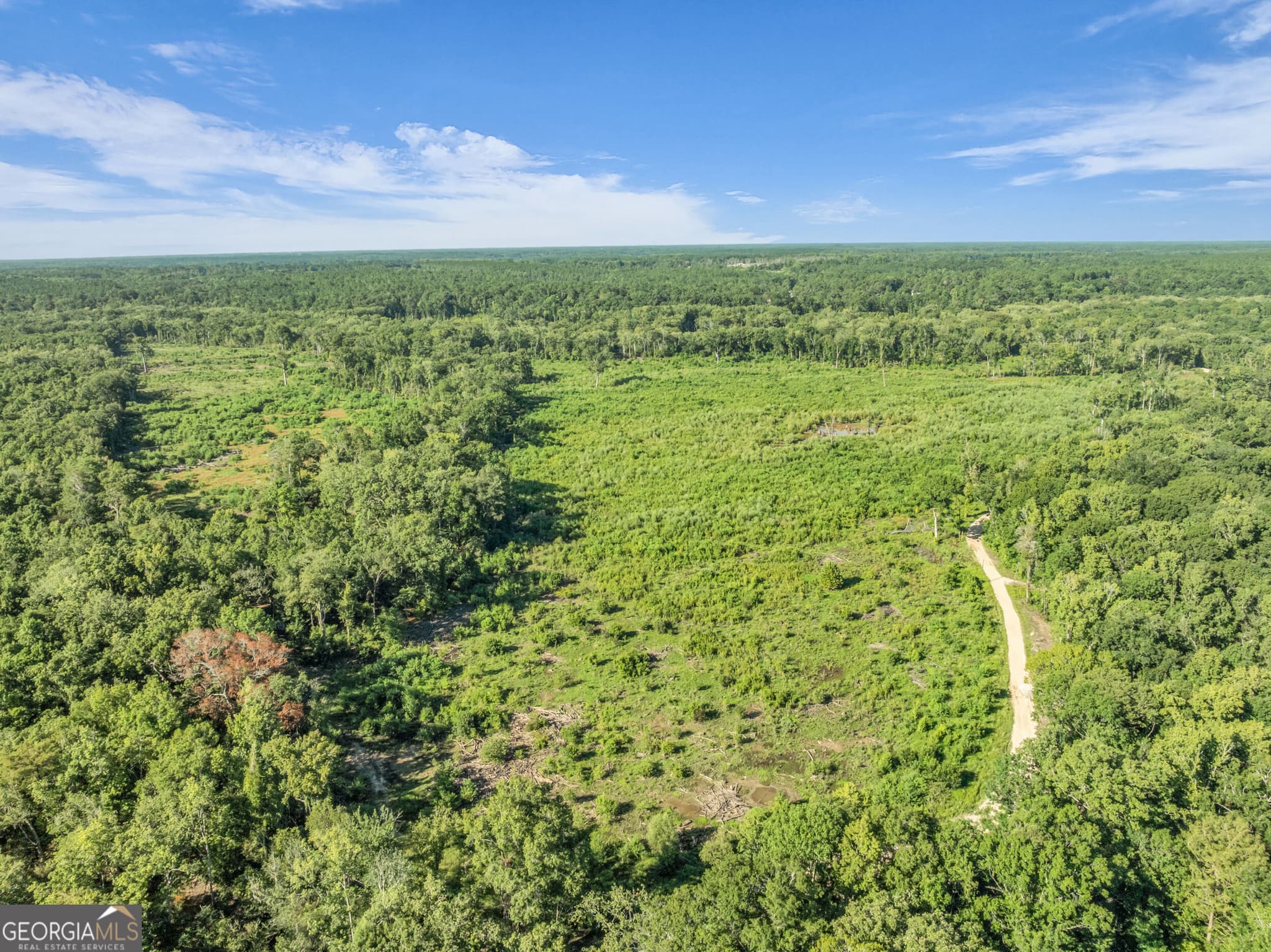 unimproved land for sale at 0 Brook Road, Jesup, GA 31545 — photo 10