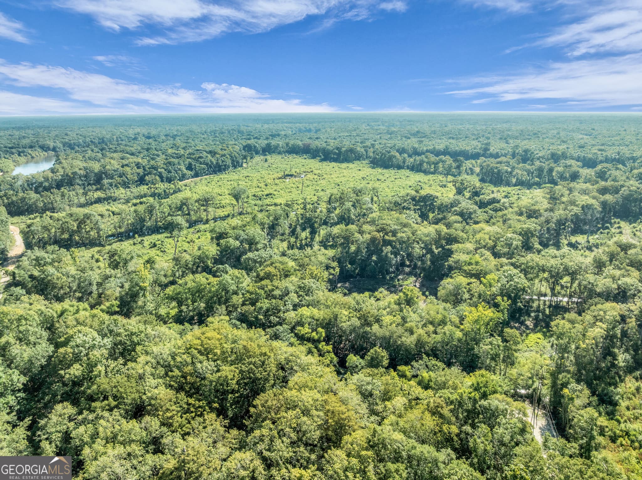 unimproved land for sale at 0 Brook Road, Jesup, GA 31545 — photo 4