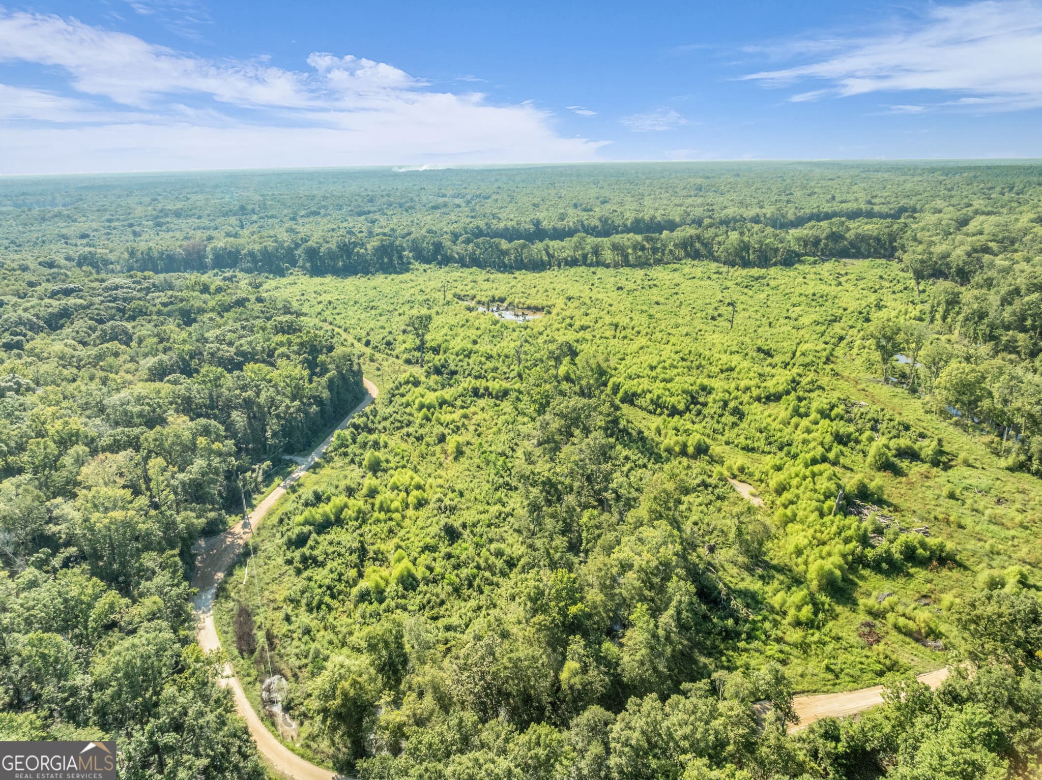 unimproved land for sale at 0 Brook Road, Jesup, GA 31545 — photo 8