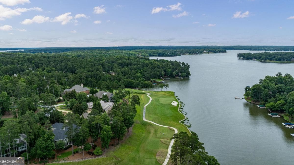 4 bedroom, 4.5 bathroom, 4,580 sq ft single family residence for sale at 2031 Hixons Bluff, Greensboro, GA 30642 — photo 3