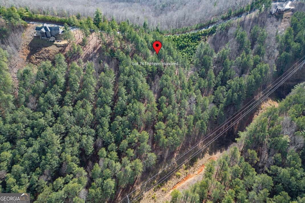 unimproved land for sale at LOT 74 Thirteen Hundred 74, Blairsville, GA 30512 — photo 2