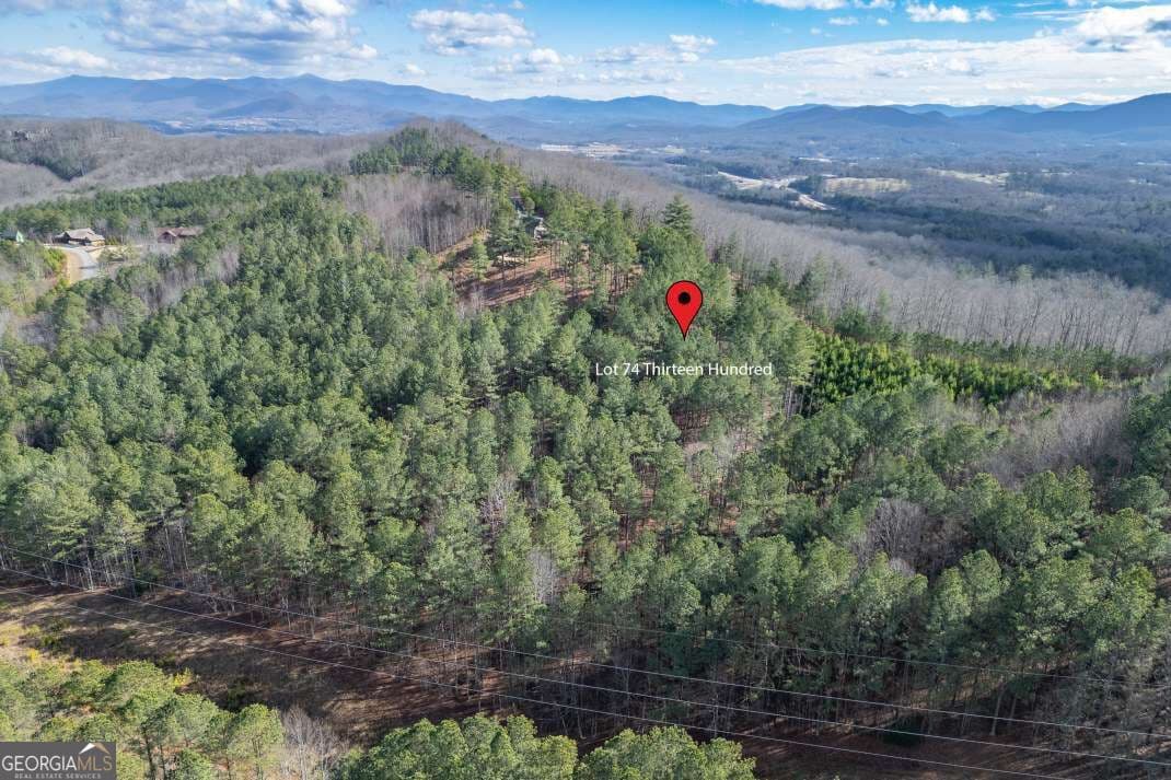 unimproved land for sale at LOT 74 Thirteen Hundred 74, Blairsville, GA 30512 — photo 6