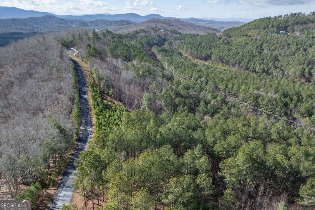 unimproved land for sale at LOT 74 Thirteen Hundred 74, Blairsville, GA 30512 — photo 7