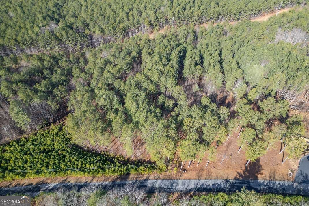 unimproved land for sale at LOT 74 Thirteen Hundred 74, Blairsville, GA 30512 — photo 3