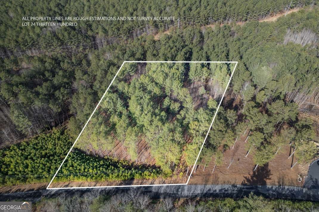 unimproved land for sale at LOT 74 Thirteen Hundred 74, Blairsville, GA 30512 — photo 1 of 42