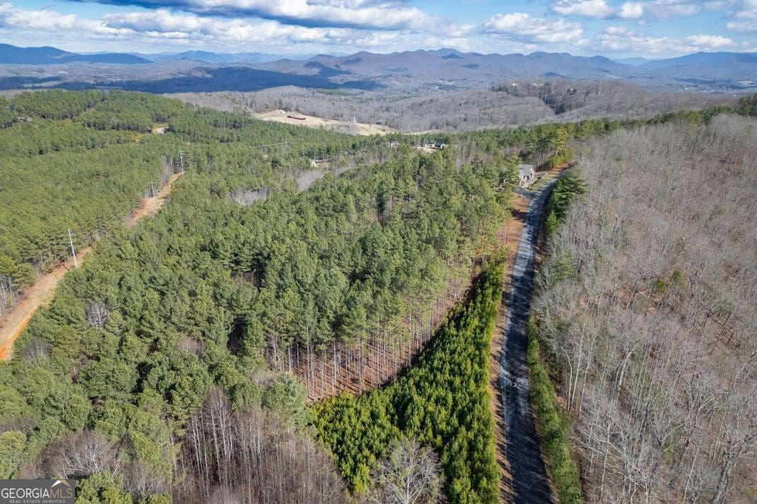 unimproved land for sale at LOT 74 Thirteen Hundred 74, Blairsville, GA 30512 — photo 5