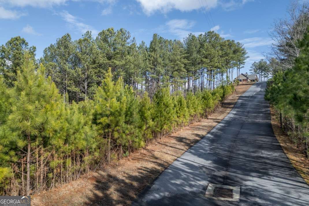 unimproved land for sale at LOT 74 Thirteen Hundred 74, Blairsville, GA 30512 — photo 9