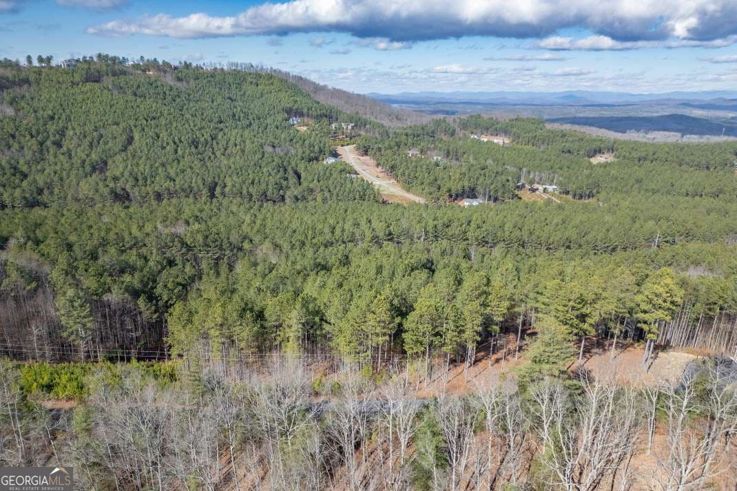 unimproved land for sale at LOT 74 Thirteen Hundred 74, Blairsville, GA 30512 — photo 4