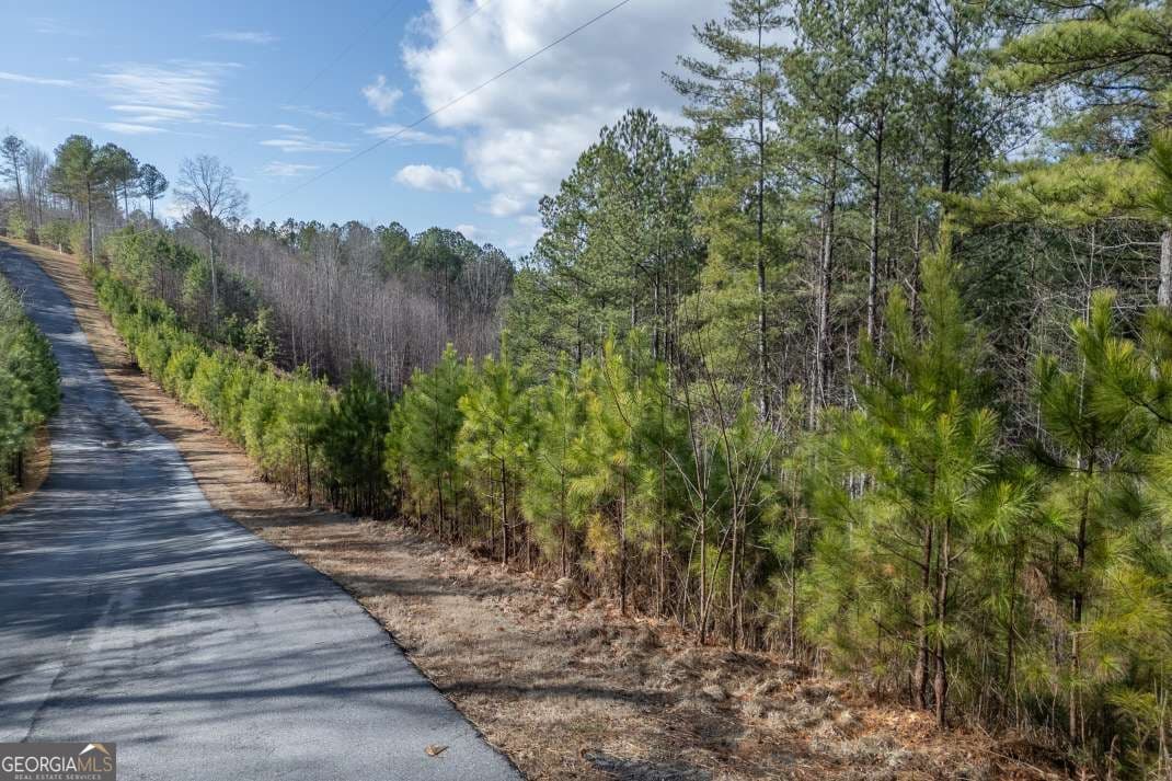 unimproved land for sale at LOT 74 Thirteen Hundred 74, Blairsville, GA 30512 — photo 8