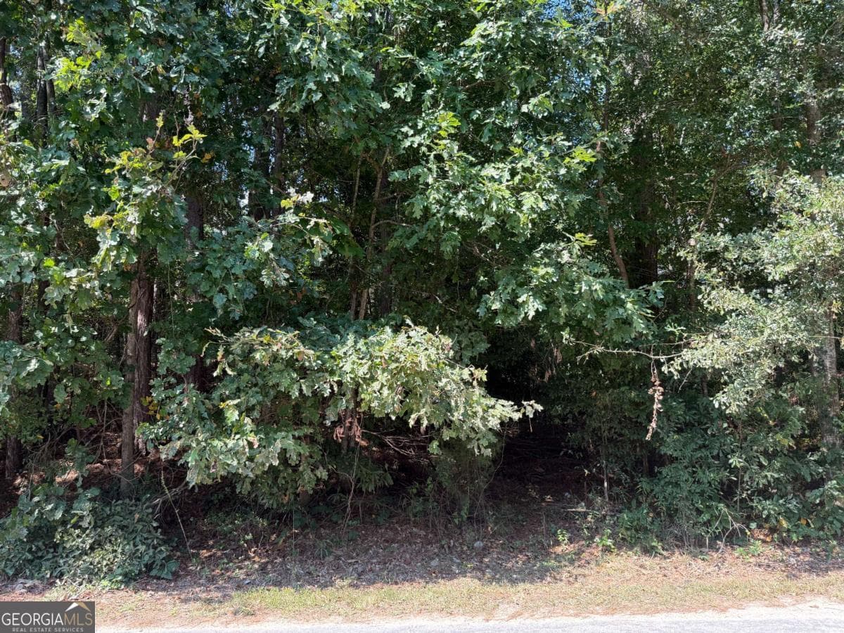 residential lot for sale at 2390 Trailwood Drive, Conyers, GA 30012 — photo 6