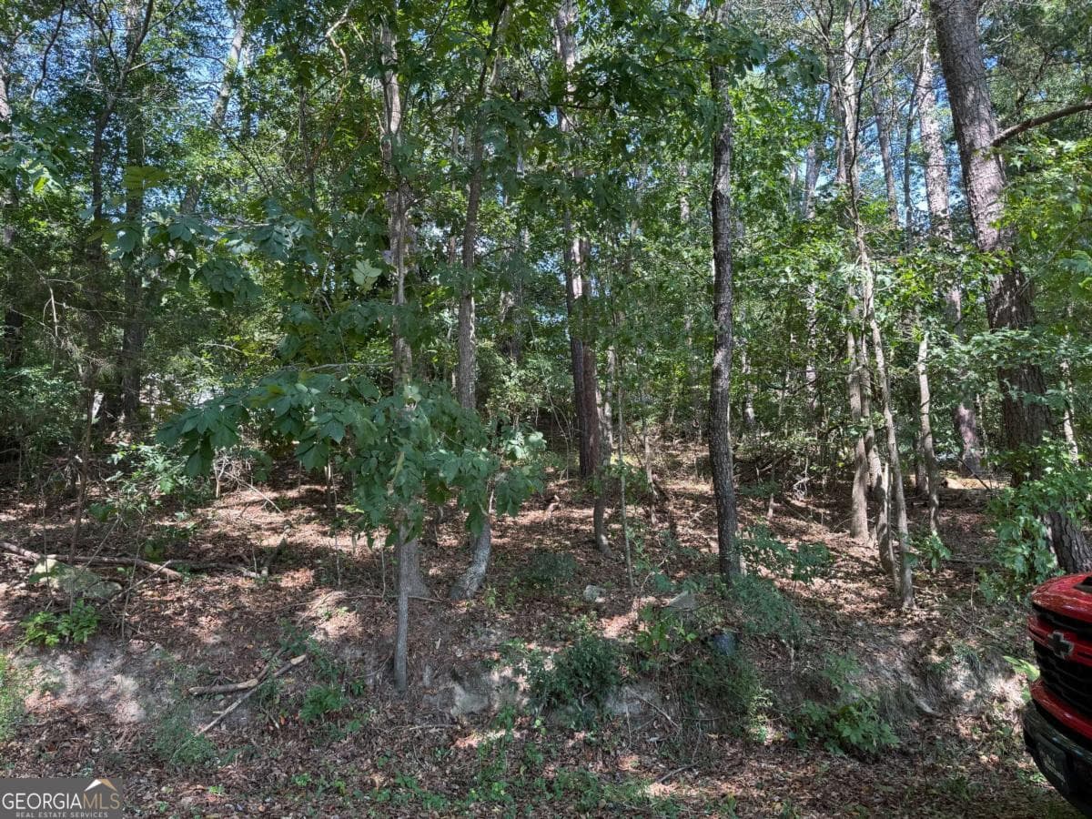 residential lot for sale at 2390 Trailwood Drive, Conyers, GA 30012 — photo 3