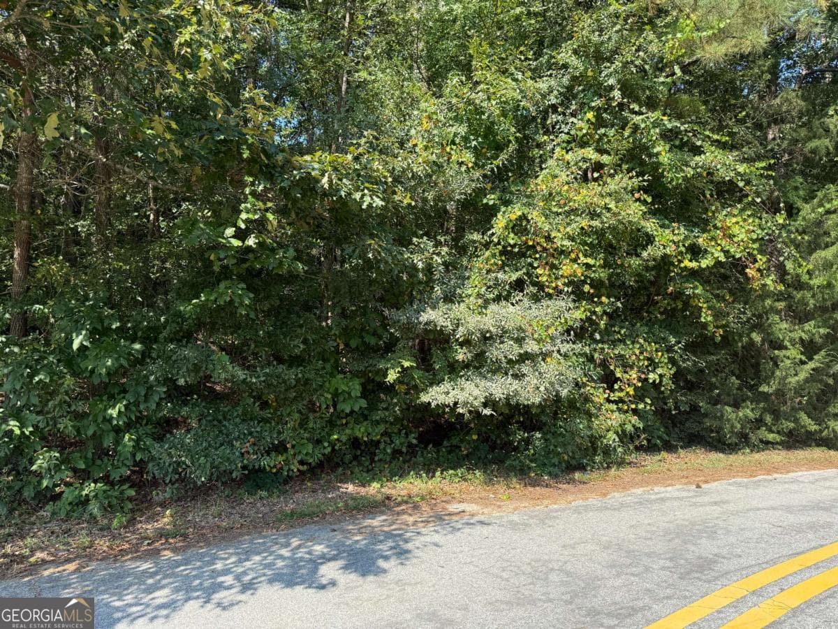 residential lot for sale at 2390 Trailwood Drive, Conyers, GA 30012 — photo 5