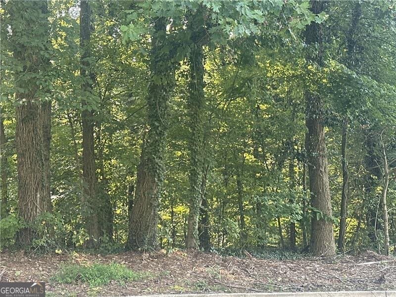 residential lot for sale at 0 Ale Circle, East Point, GA 30344 — photo 3