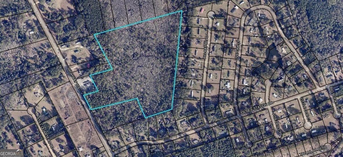 unimproved land for sale at 0 Highway 119 North, Ellabell, GA 31308 — photo 6