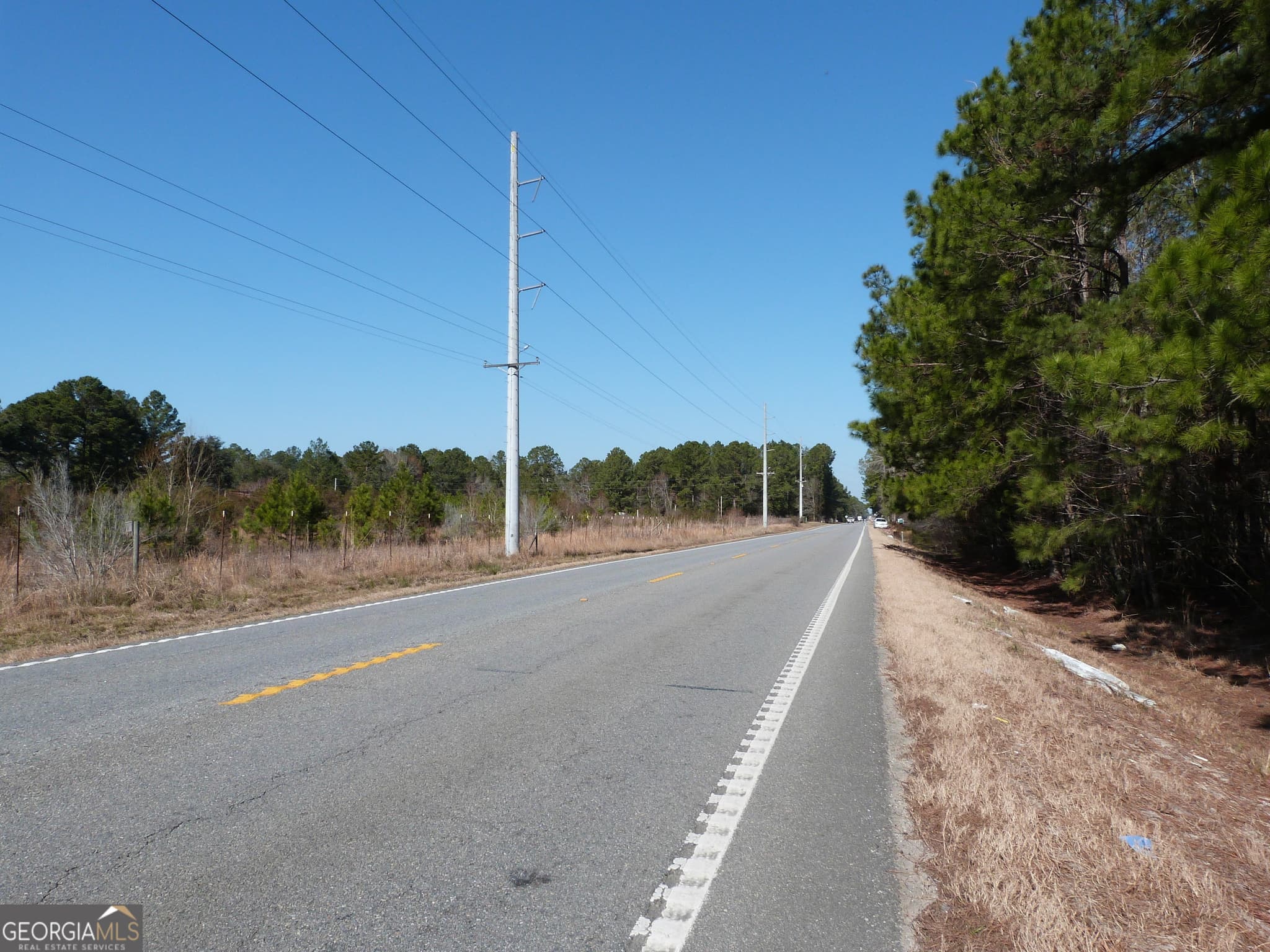 unimproved land for sale at 0 Highway 119 North, Ellabell, GA 31308 — photo 3