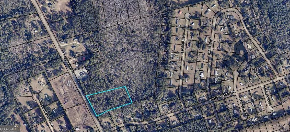unimproved land for sale at 0 Highway 119 North, Ellabell, GA 31308 — photo 5