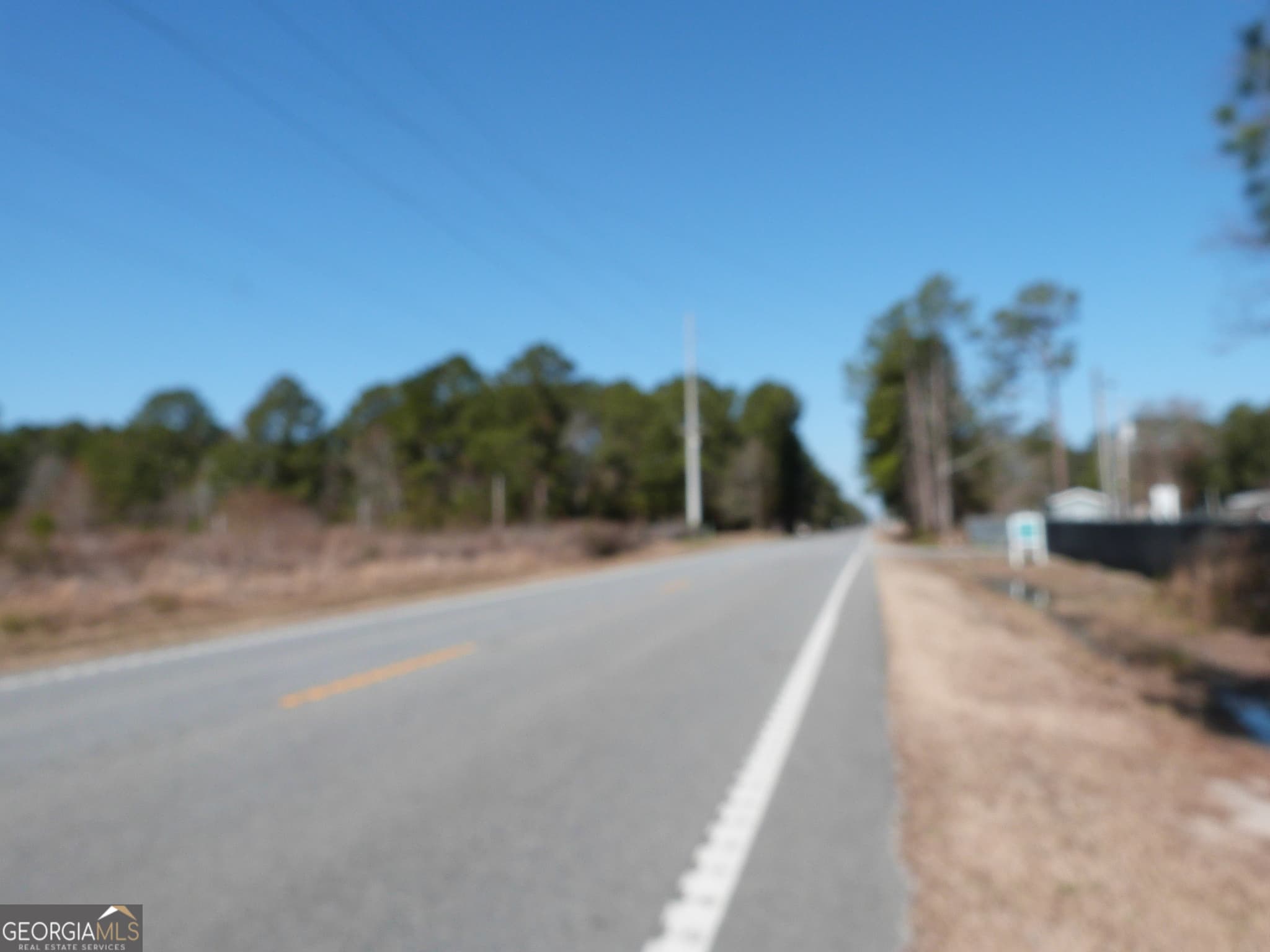 unimproved land for sale at 0 Highway 119 North, Ellabell, GA 31308 — photo 9
