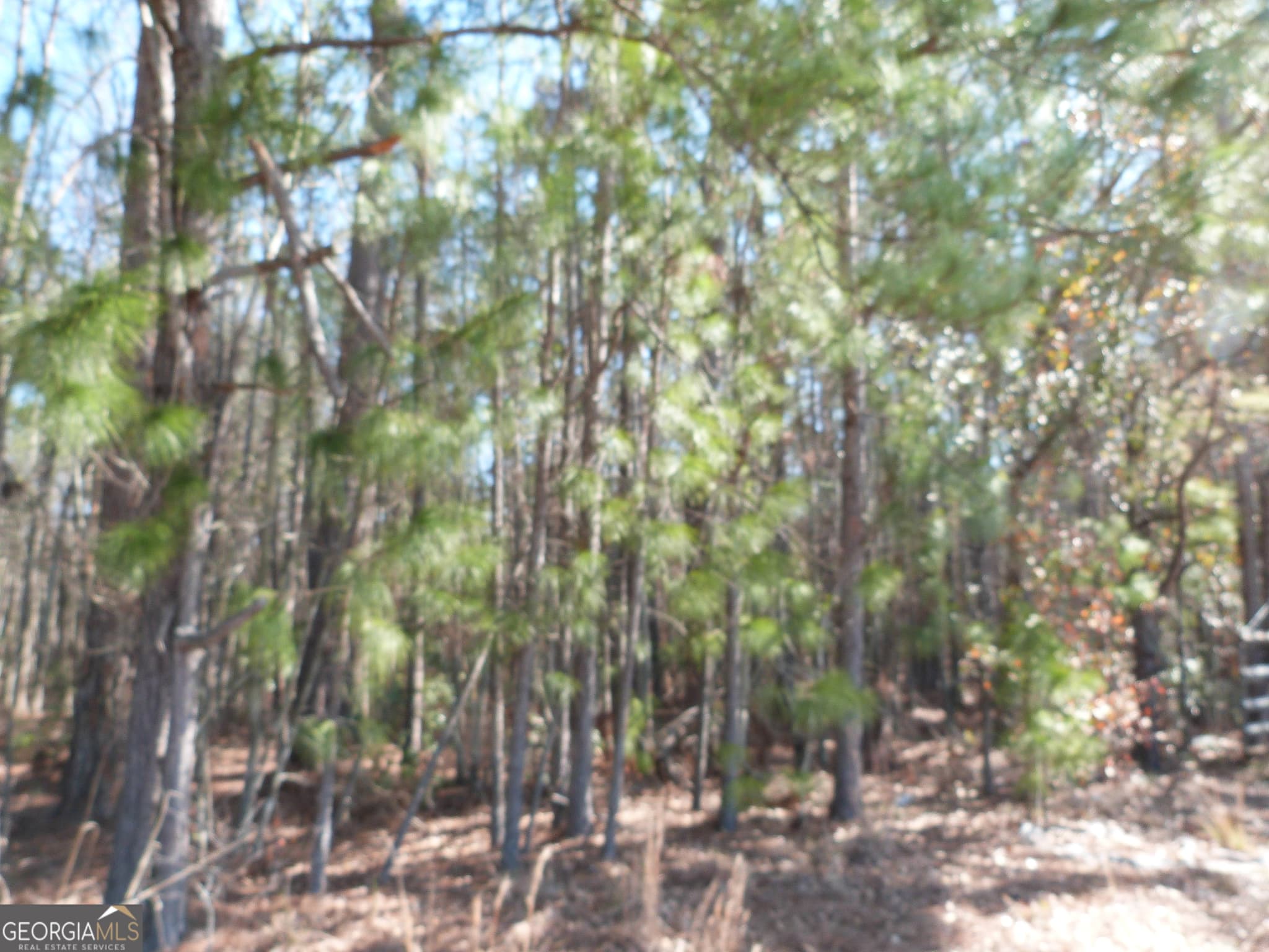 unimproved land for sale at 0 Highway 119 North, Ellabell, GA 31308 — photo 4