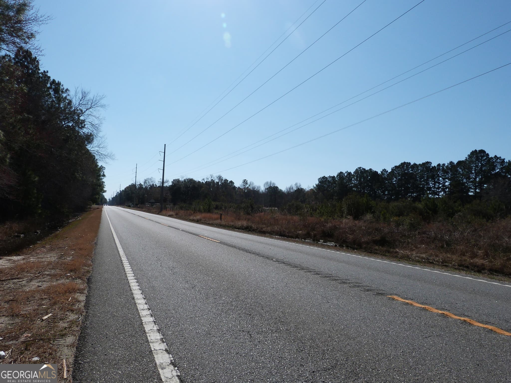 unimproved land for sale at 0 Highway 119 North, Ellabell, GA 31308 — photo 8