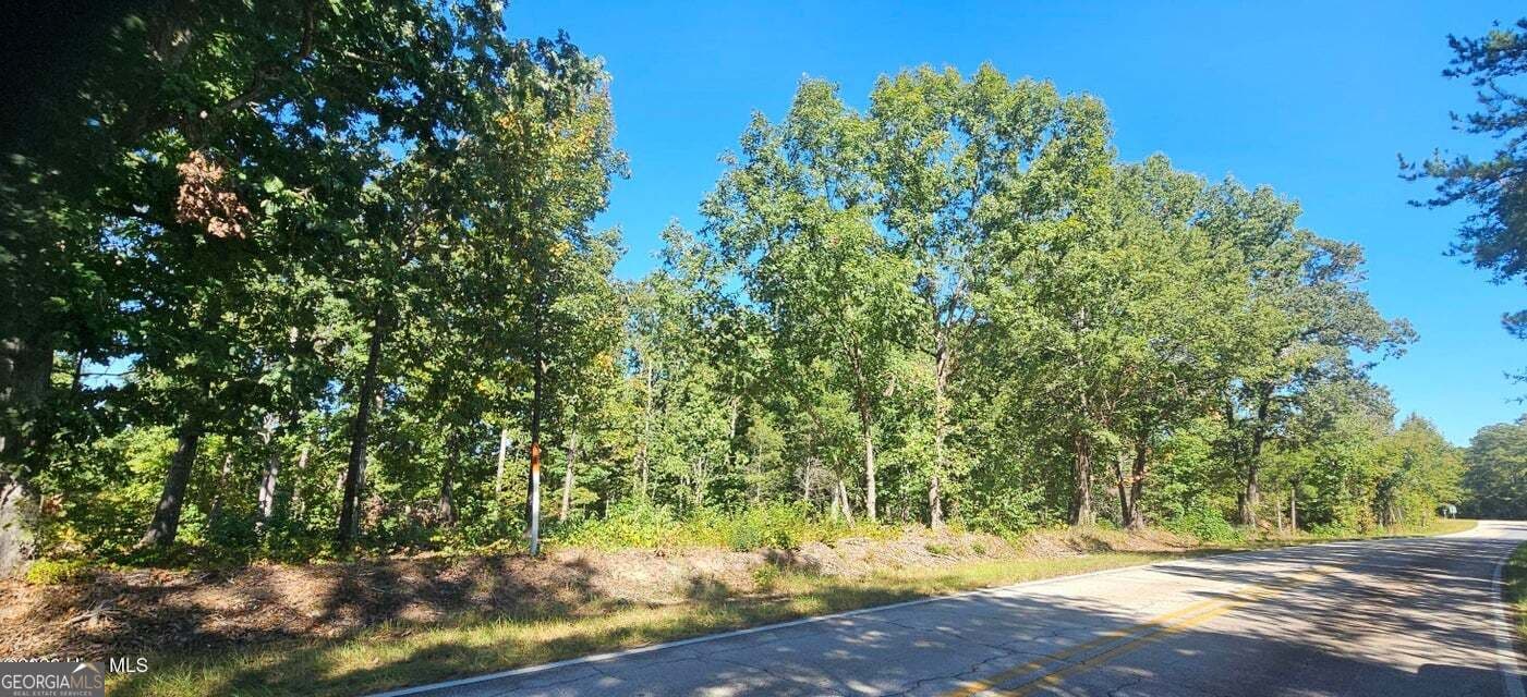 agriculture for sale at TRACT 2 BETHANY CHURCH Road, Lincolnton, GA 30817 — photo 2