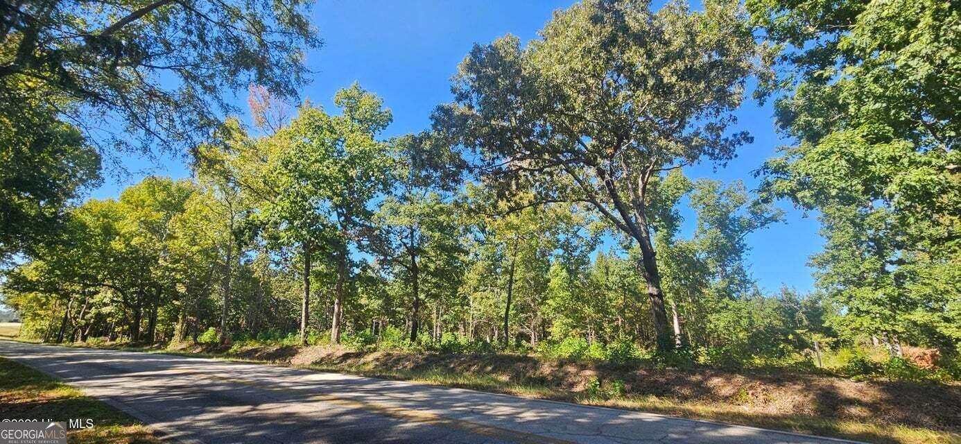 agriculture for sale at TRACT 2 BETHANY CHURCH Road, Lincolnton, GA 30817 — photo 3