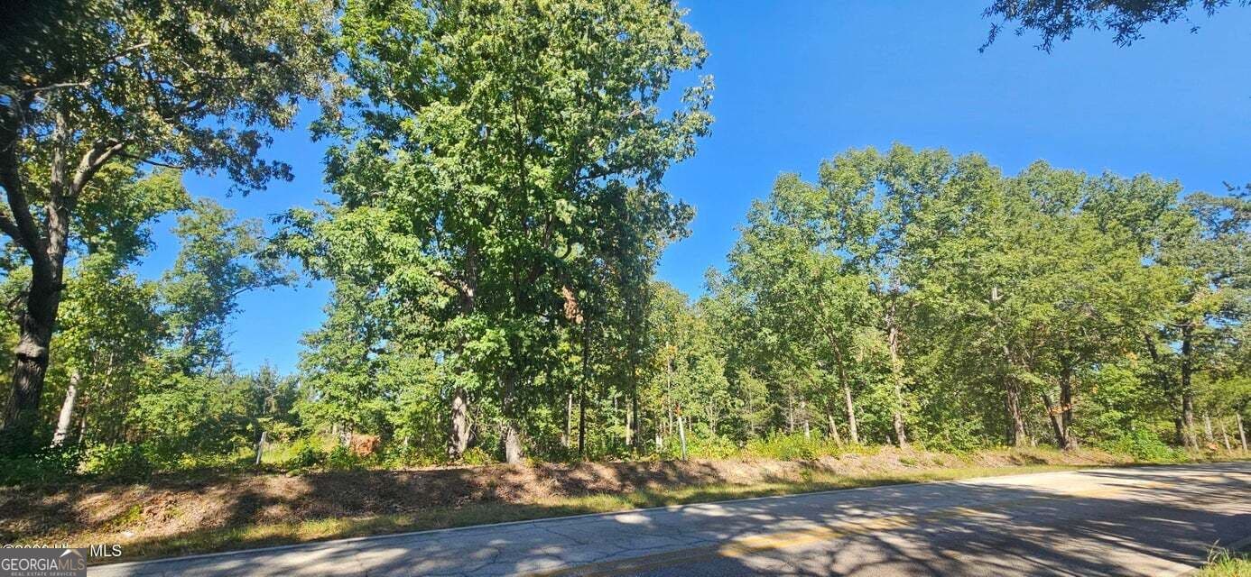 agriculture for sale at TRACT 2 BETHANY CHURCH Road, Lincolnton, GA 30817