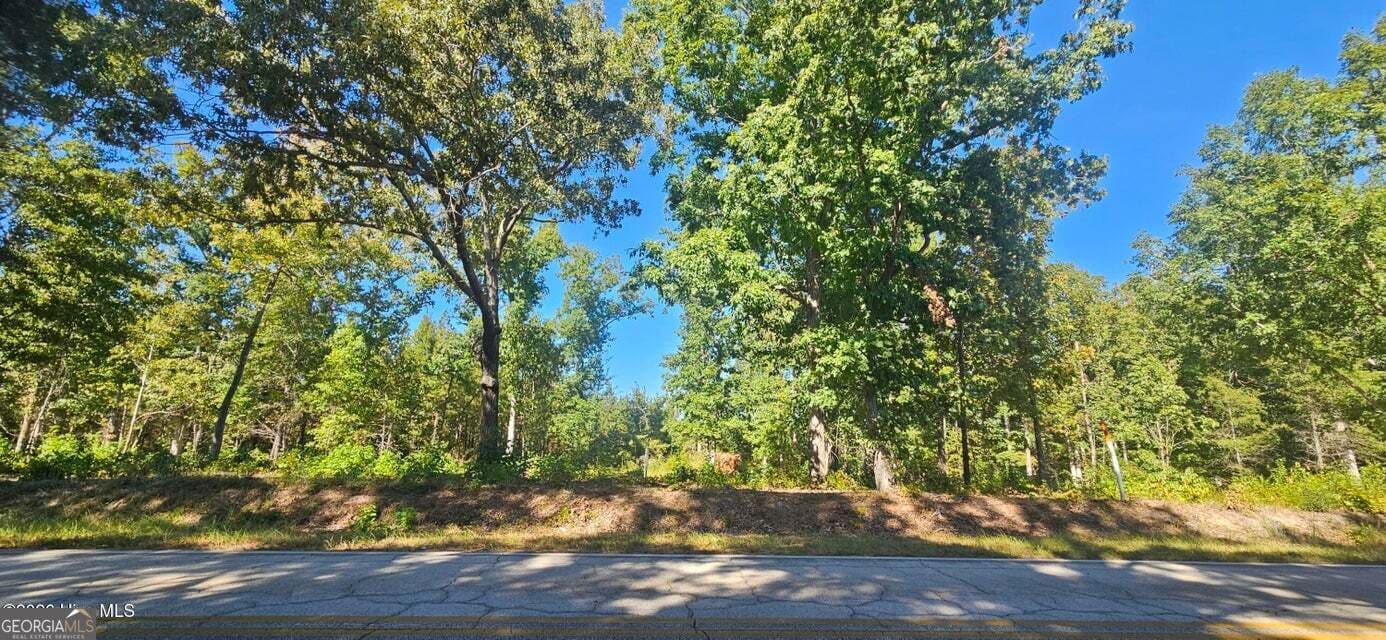 agriculture for sale at TRACT 2 BETHANY CHURCH Road, Lincolnton, GA 30817 — photo 5
