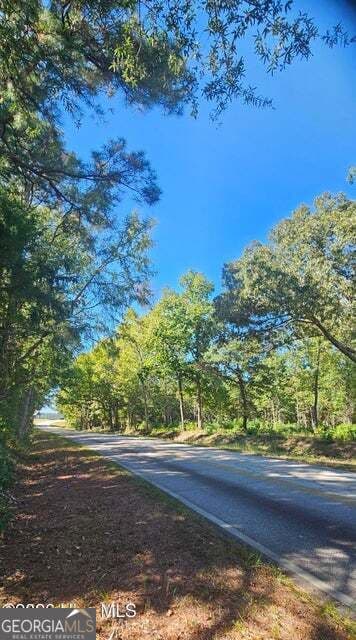 agriculture for sale at TRACT 2 BETHANY CHURCH Road, Lincolnton, GA 30817 — photo 4