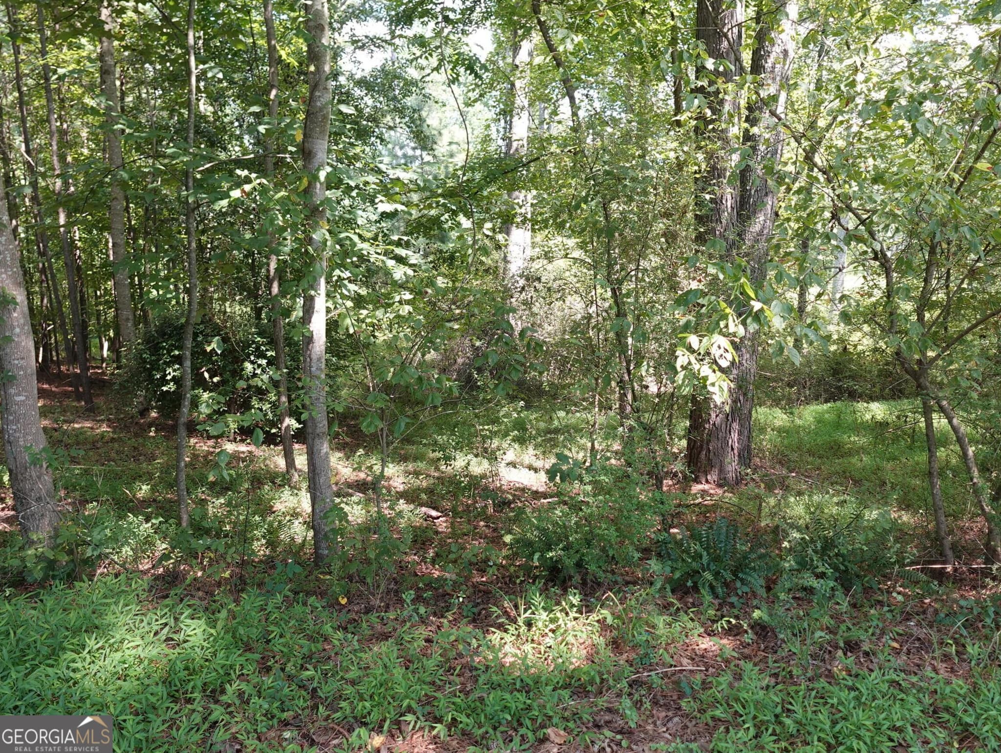 residential lot for sale at 3588 Demooney Road, South Fulton, GA 30349 — photo 7