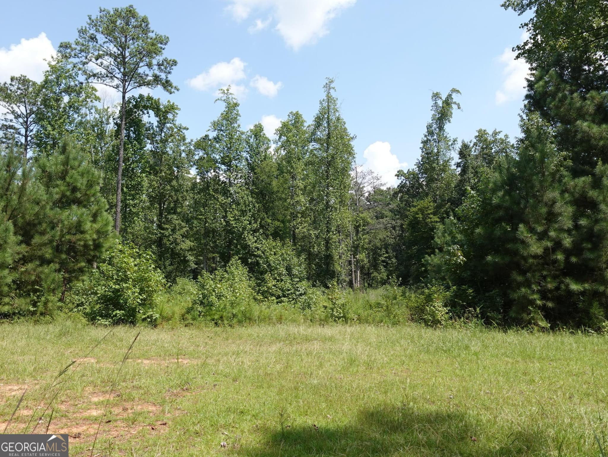 residential lot for sale at 3588 Demooney Road, South Fulton, GA 30349 — photo 5