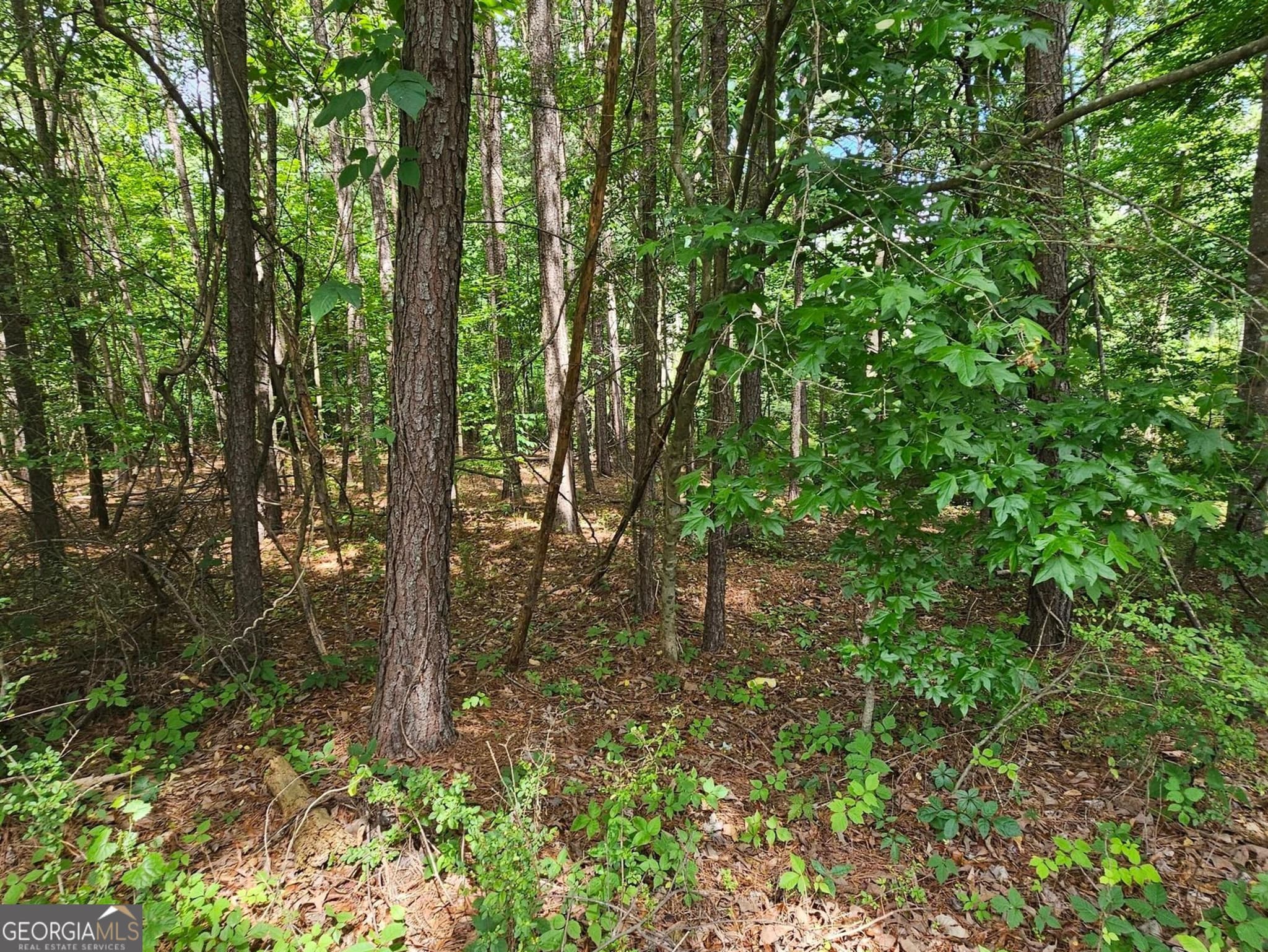 residential lot for sale at 3588 Demooney Road, South Fulton, GA 30349 — photo 8