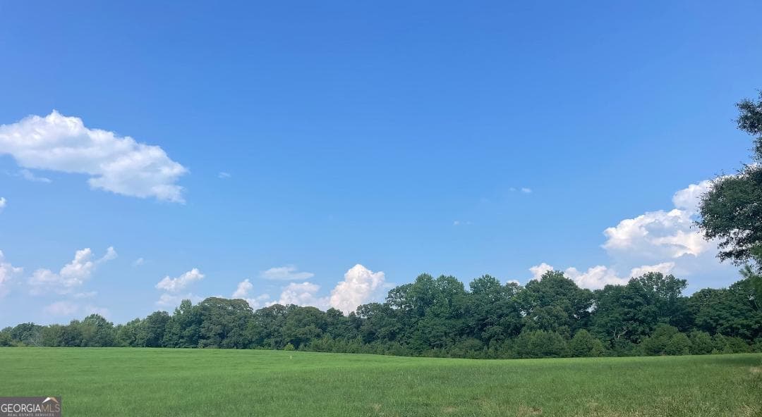 estate lot for sale at 2538 Mount Zion, Oxford, GA 30054 — photo 2