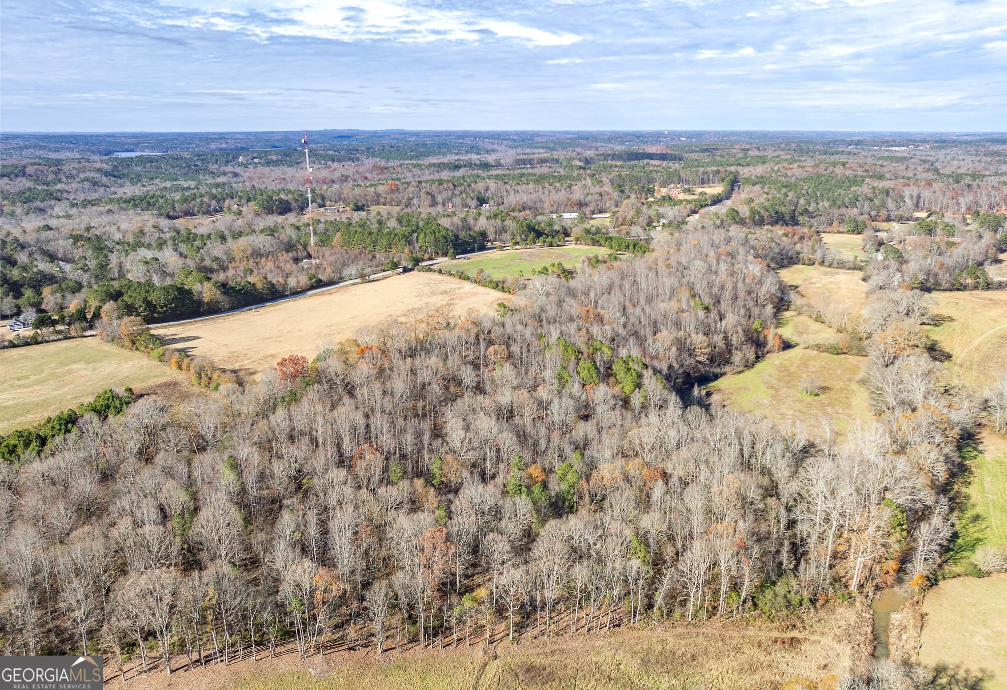 estate lot for sale at 2538 Mount Zion, Oxford, GA 30054 — photo 9