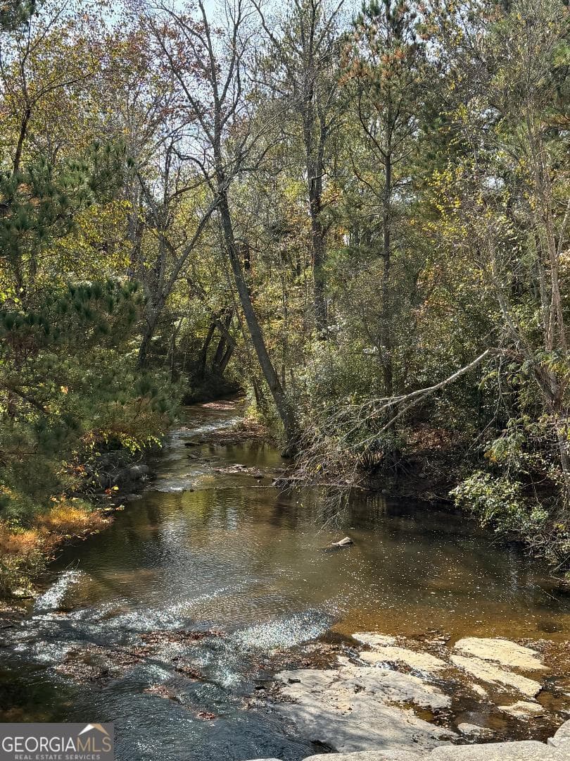 estate lot for sale at 2538 Mount Zion, Oxford, GA 30054 — photo 4